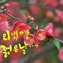 노인 병동 이미지