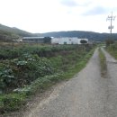 백경농장 이미지