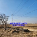 원탑부동산중개사무소 이미지