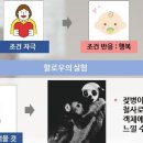 (7회) 애착인형 제일 좋아 ＜발달로 알아보는 영유아의 문제행동 이해하기＞ 이미지