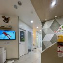 판교어린이치과의원 이미지