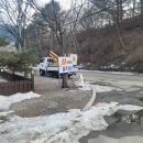 퍼피랜드 네이버블로그