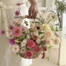 아우어모먼트 이미지