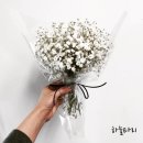 하늘타리꽃집