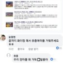 2018 러시아 월드컵에서 독일을 이긴 후 SNS 댓글 이미지