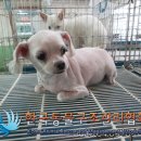 서울특별시영등포구평생학습관 이미지