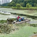 수원-원천-원천-07 이미지