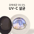 1인 가구 필수템 내돈내산 한일 미니건조기 2개월 사용 후기