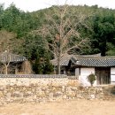 김인섭 단계일기 | 경상남도 유형문화재 제207호 단계선생일기 (端溪先生日記)