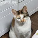 세실치과의원 이미지