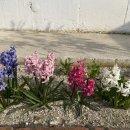 델루나 관광펜션 이미지