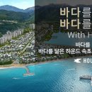 스테이 하운드 이미지