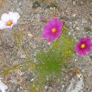 신용농원 이미지