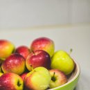 두지농장 | 구야네농장 루비에스사과, 경산 농장직배송 알프스사과 후기