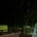 [서울 캠핑장 추천] 예약 전쟁 뚫고 다녀온 강동그린웨이 캠핑장 먹방 후기!(명당 자리 지도 포함)