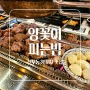 양꽃이 피는 밤(선부점) 이미지