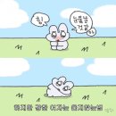 제주담투어 이미지