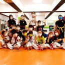 정도 K타이거즈 태권도 이미지