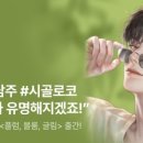 글림 이미지