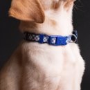 조원동-9 이미지