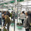 원당종합시장 이미지