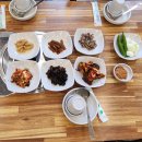 울산 구영리 맛집 점심으로 먹기 좋은 뜨끈한 삼계탕집 능이와 백숙
