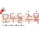 홍주헤어 이미지