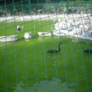 달성공원로 이미지