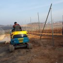 신암면020 이미지