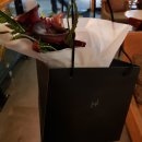 트레져드레옹