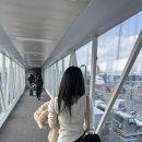 와산마을 | 날씨요괴 두여자의 겨울 제주여행