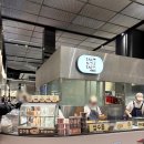 (주)한코교역 | 동탄 롯데백화점 팝업 타코낫타코 떡대 내돈내산 후기