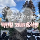 서귀포소방서 | [제주 2일차] 서귀포 남원읍 백한철 꽈배기&amp;식빵 백바치토 내돈내산 방문후기