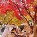 (주)미리내수련원 이미지