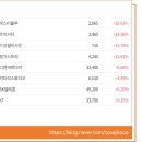 주식회사 조이홀딩스