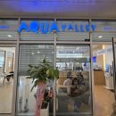 아이존팝 동성로2호점 | 대구 실내아쿠아리움 아쿠아밸리블루라운지 동성로점 신규오픈 후기