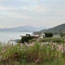 갯바람펜션 이미지