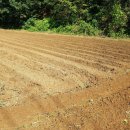 성근농장 이미지