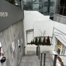 허브라인 | 뱃살 셀룰라이트 지방분해 바인허브클리닉 라인이펙터 후기