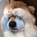 인성 이미지