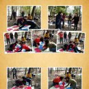 송산유원지 이미지