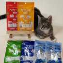 대현엠앤씨 이미지