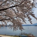 우두동 자전거도로 이미지