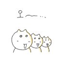 편백 해수탕 사우나 이미지