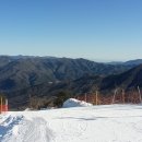 엠에스레포츠 이미지