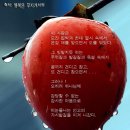 파라다이스B