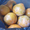 진가네농장 이미지