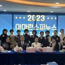 피누스스토어아마란스