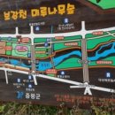 증평군립도서관 앞 이미지