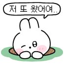 글램핑로망 이미지